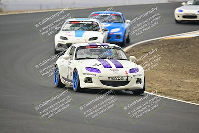 media/Jan-26-2025-CalClub SCCA (Sun) [[cfcea7df88]]/Group 1/Race/